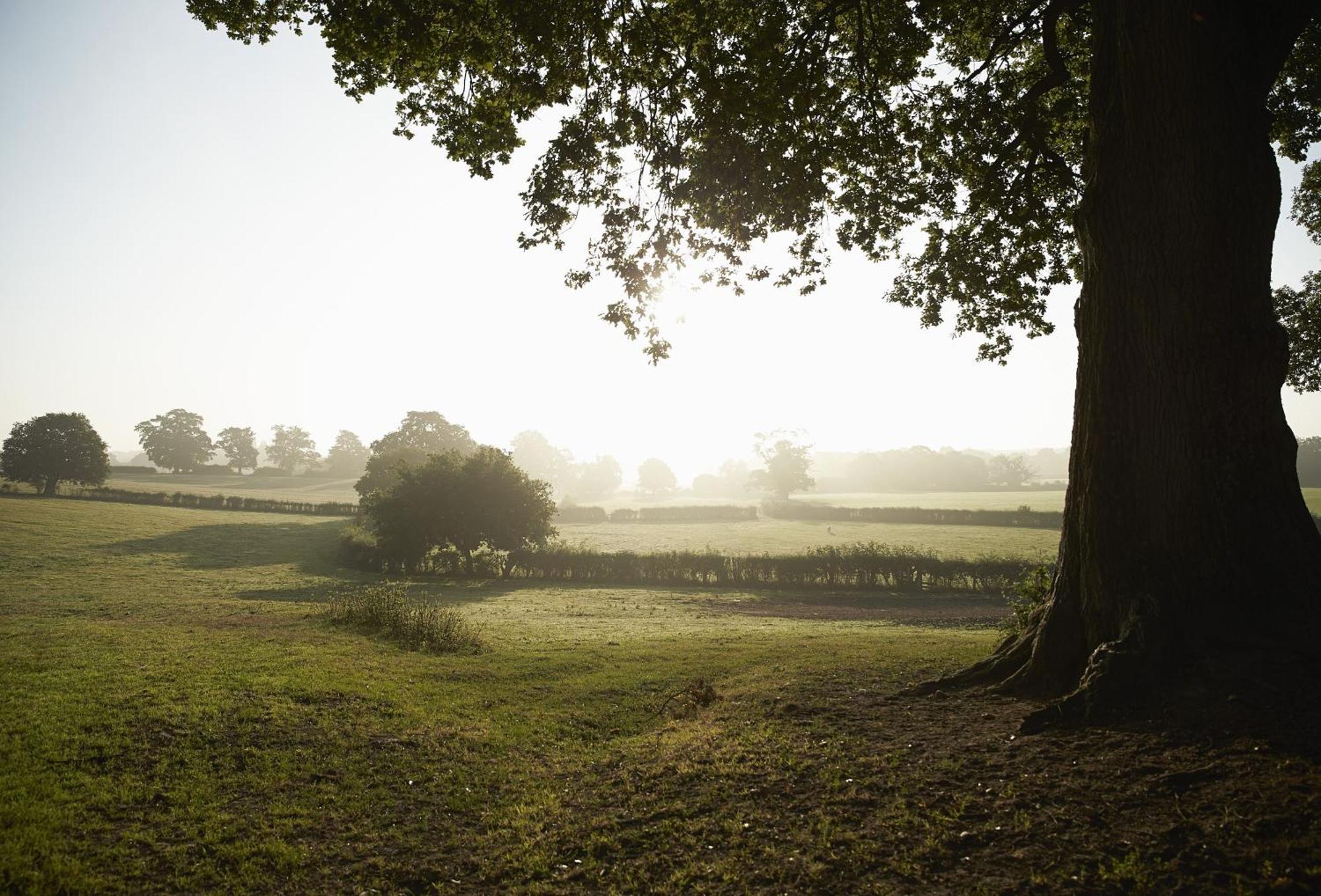 April Cottage Stow-on-the-Wold Luaran gambar