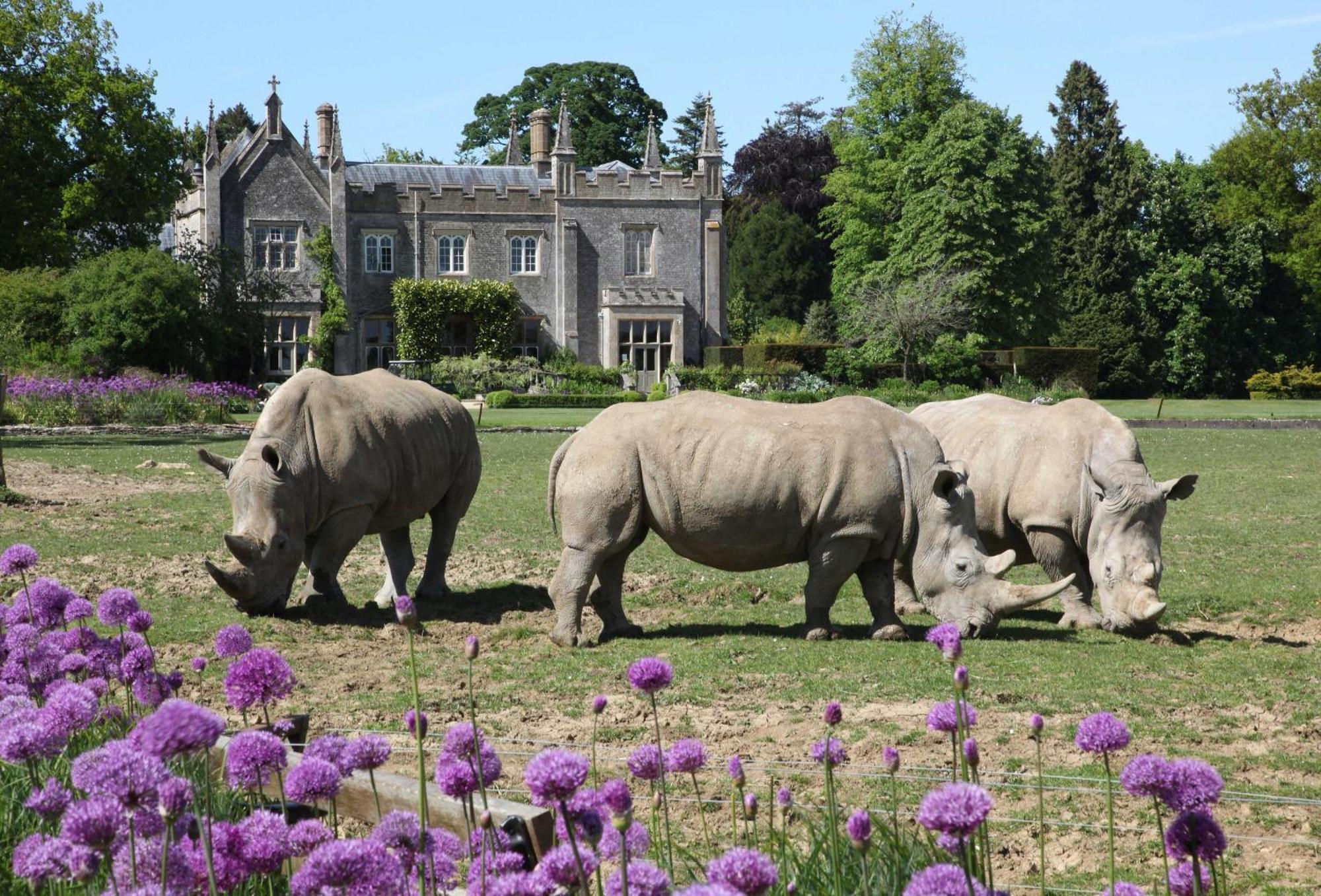 April Cottage Stow-on-the-Wold Luaran gambar
